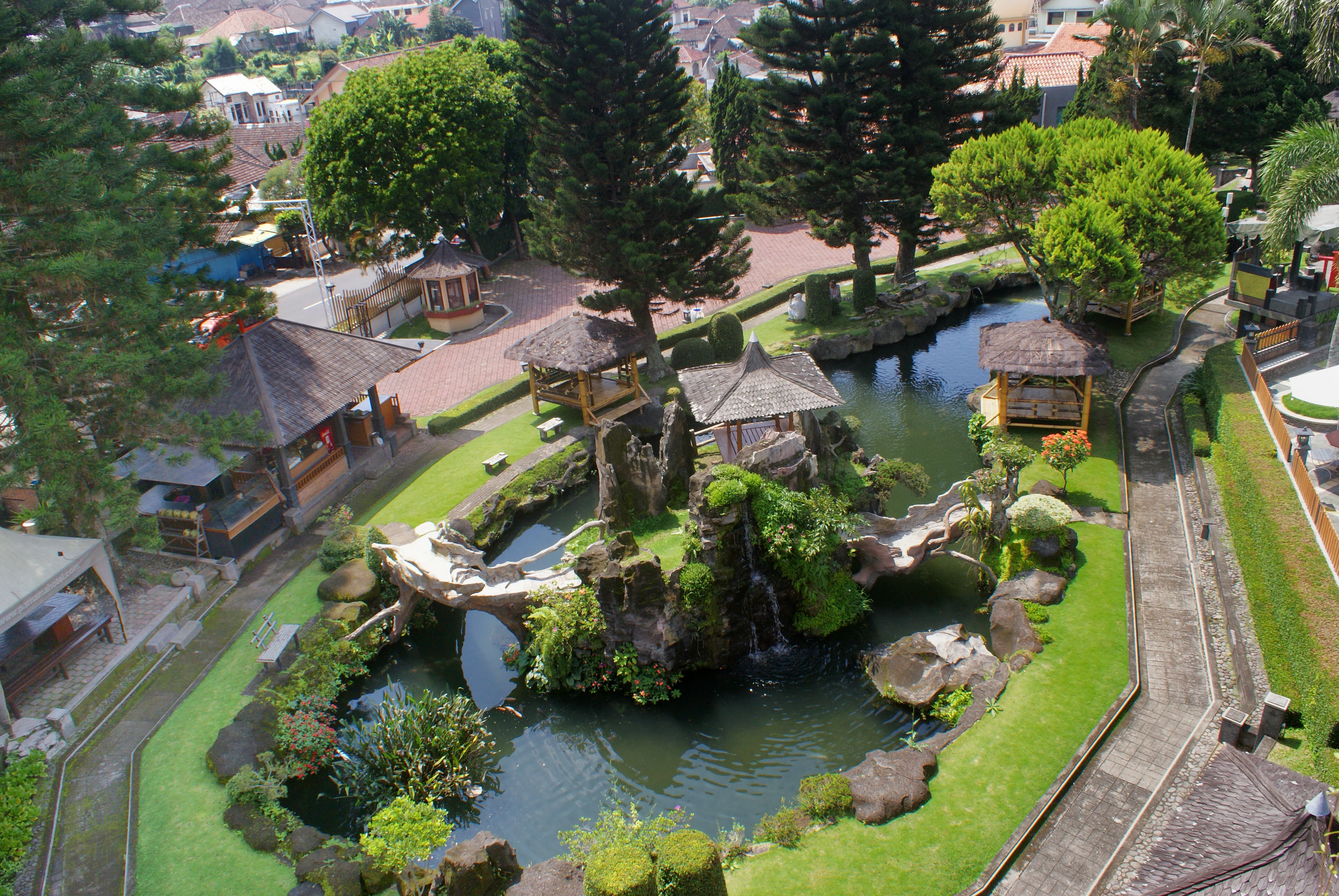 Fishing Pond photo 1